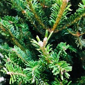 Meet your Posher, Timothy